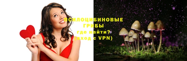 мяу мяу кристалл Богданович