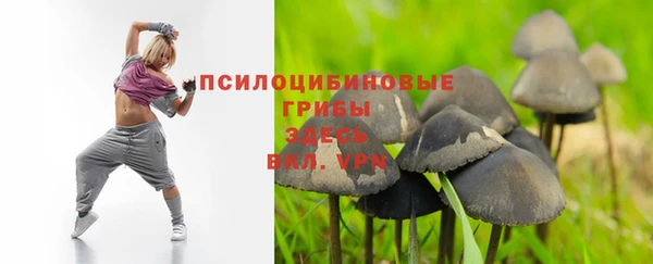 прущая мука Снежногорск