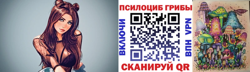 как найти закладки  Оха  Псилоцибиновые грибы MAGIC MUSHROOMS 
